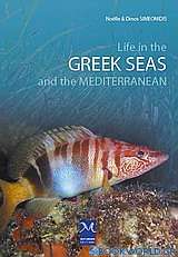 Life in the Greek Seas and the Mediterranean