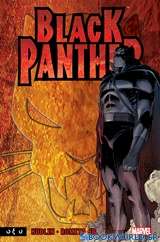 Black Panther: Ποιος είναι ο Μαύρος Πάνθηρας;