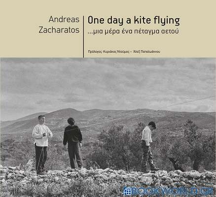 One day a kite flying